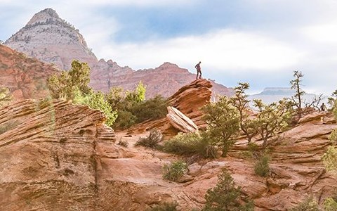 Man in Desert on Rock