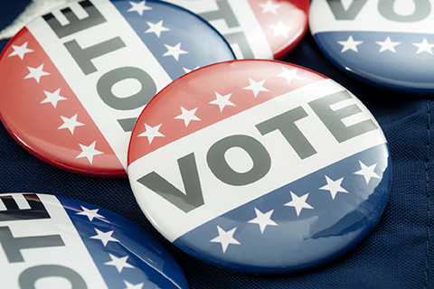 Image of Vote Buttons